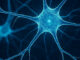 Reseau Neuronal